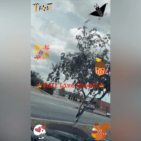 *LIVE SHOW ITEM* - Picture 2 of 6